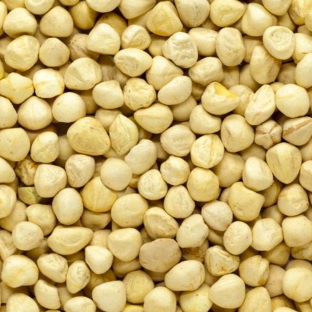 ANCIENT AFRICAN IMMUNITY BOOSTER~ MORINGA~20 SEEDS